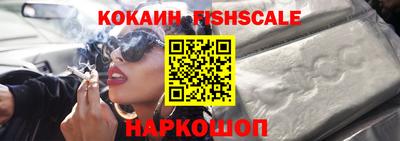a pvp Камышлов