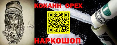a pvp Камышлов