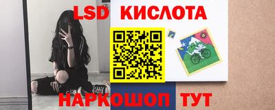 a pvp Камышлов