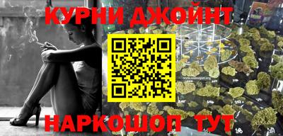 a pvp Камышлов