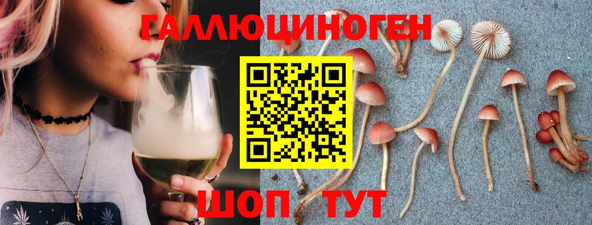 Псилоцибиновые грибы ЛСД  Псилоцибиновые грибы Psilocybe  Вход с VPN  Лесосибирск 