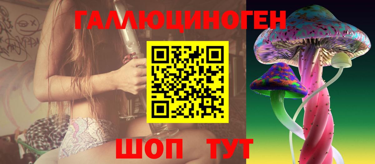 Псилоцибиновые грибы мицелий Лесосибирск